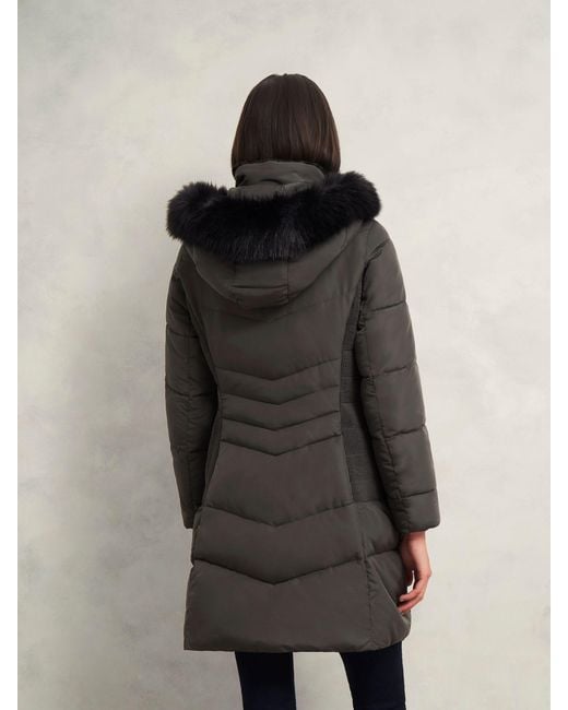 Hobbs Black Petite Jaymie Puffer Jacket