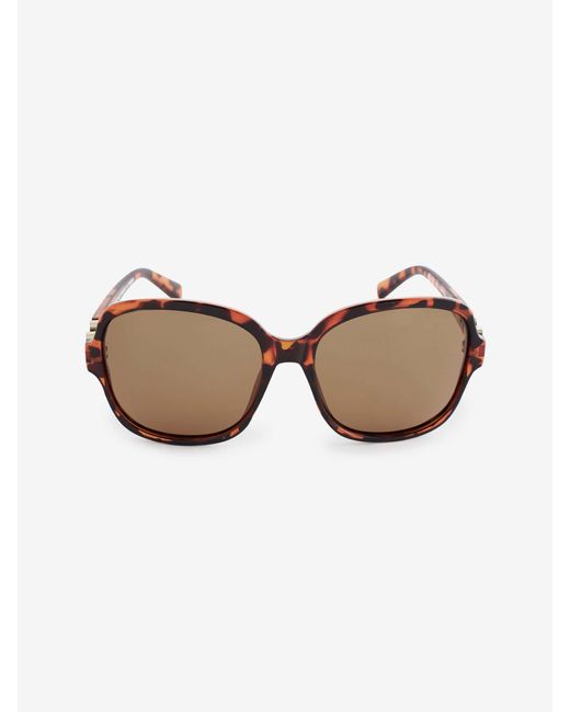 Next Brown Schildpatt