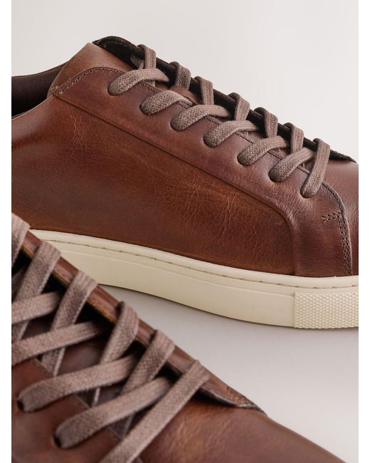 Next Brown Leather Trainers for men