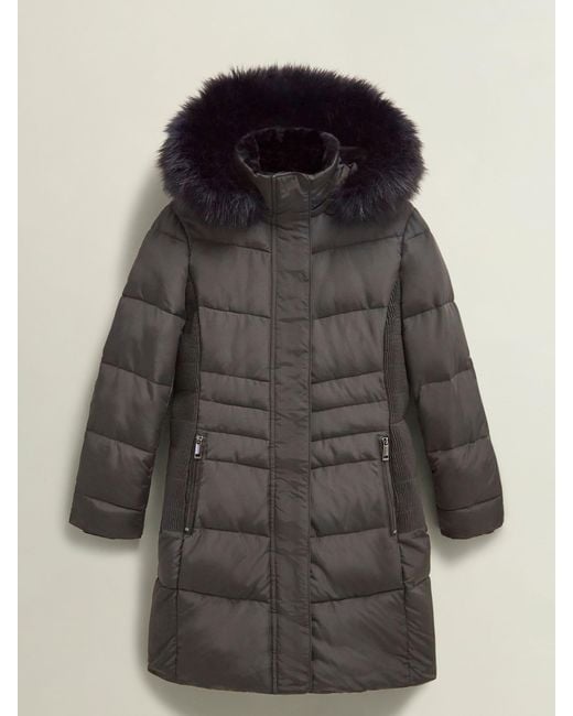 Hobbs Black Petite Jaymie Puffer Jacket