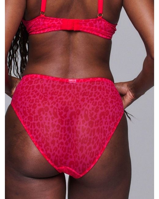 Lemonade Dolls Red Leopard Mesh Brief