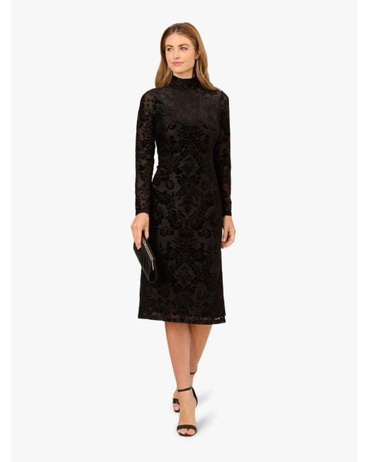 princess polly baby blue dress Adrianna Papell Women's Black Burnout Velvet Dress