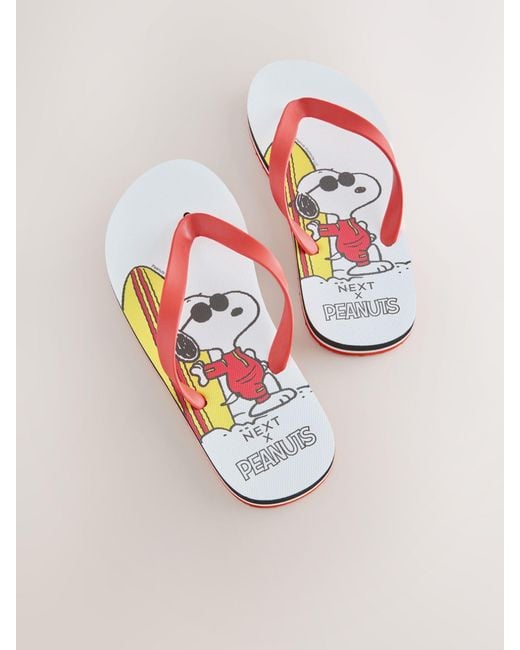 Next Multicolor Flip Flops for men