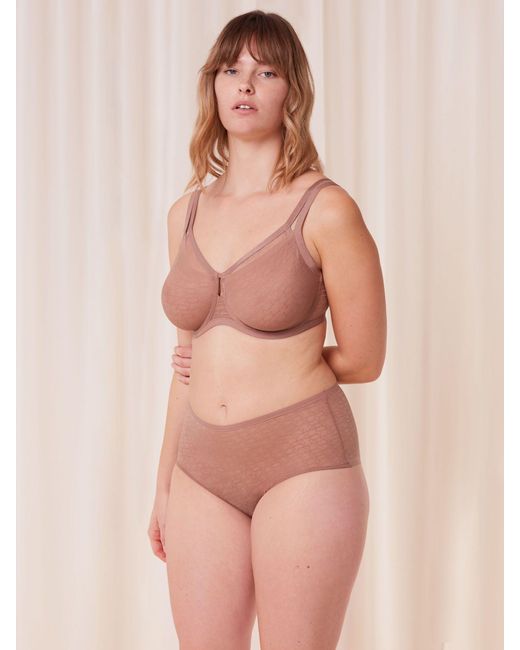 Triumph Brown Signature Durchsichtiger Schwarzer Maxi Slip