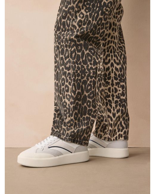 Next Gray Forever Comfort