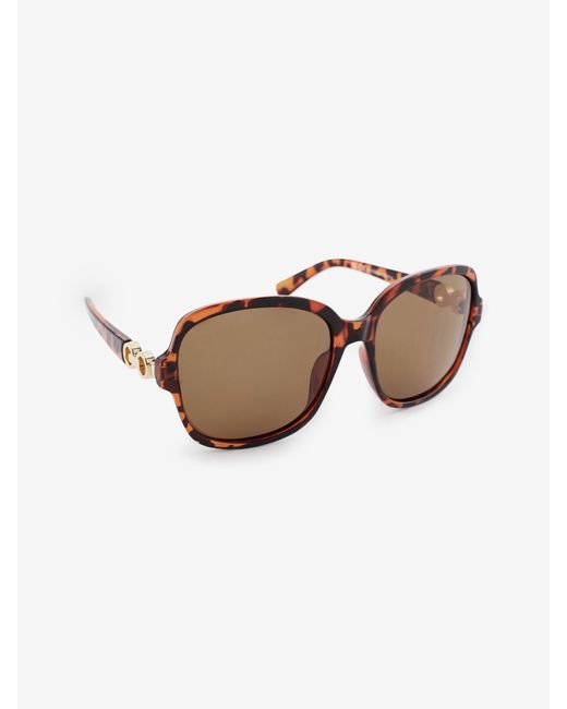 Next Brown Schildpatt