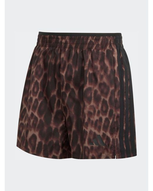 Adidas Brown Workout Essentials Leopard Woven Shorts