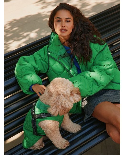 Next Green Lightweight Quilted Jacket