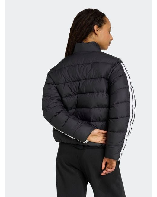 Adidas Black Essentials 3-Stripes Synthetic Down Jacket