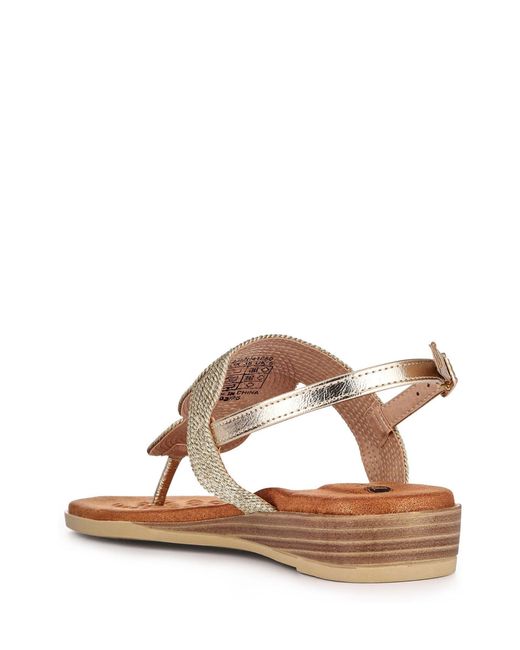 Pavers Brown Buckled Toe Post Sandals