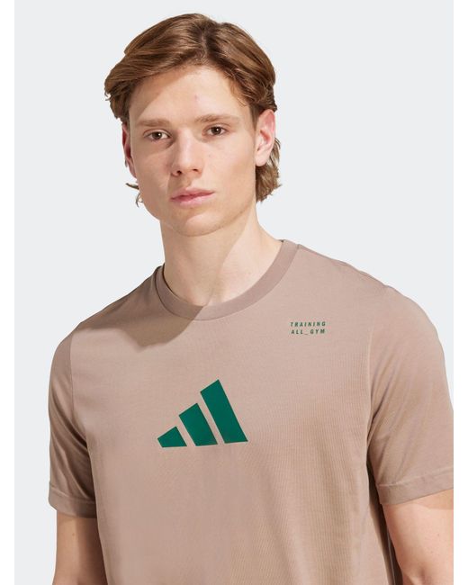Adidas Natural Climacool Category Training Graphic T-Shirt for men