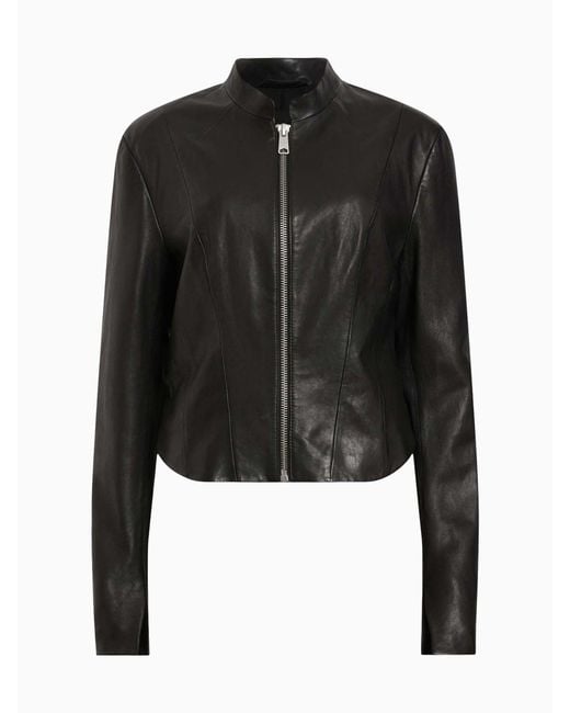 AllSaints Black Allsaints Sadler Jacket