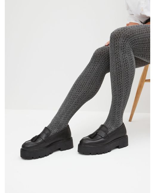 Next Gray Next Grau