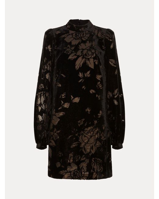 Phase Eight Black Reanna Shift Dress