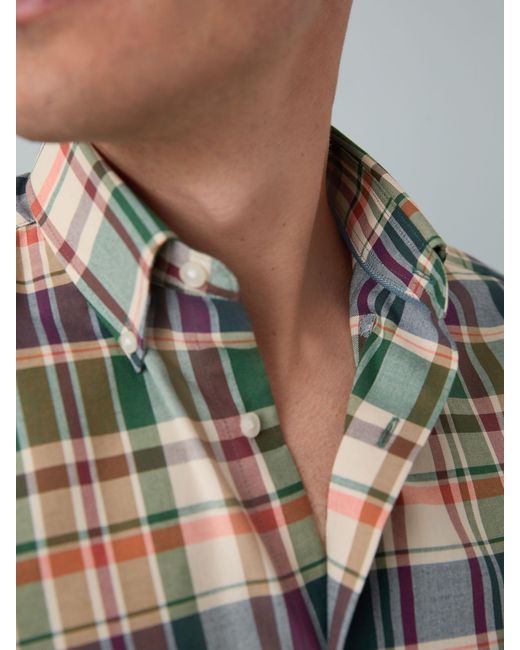 Next Multicolor Regular Fit Easy Iron Button Down Oxford Shirt for men