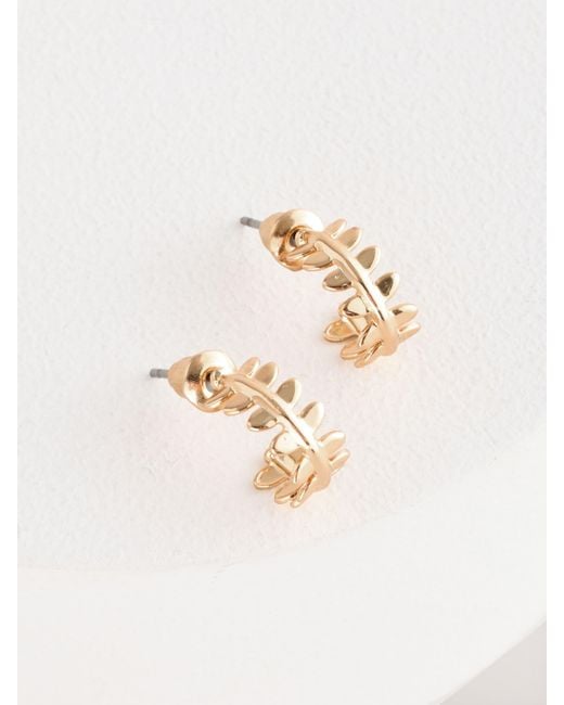 Next White Mini Leaf Hoop Earrings