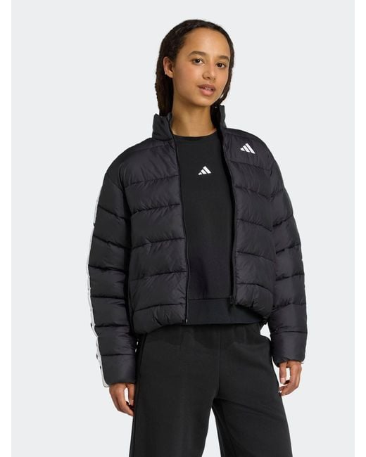 Adidas Black Essentials 3-Stripes Synthetic Down Jacket