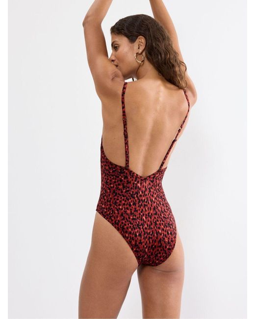 Triumph Red Midnight Swim