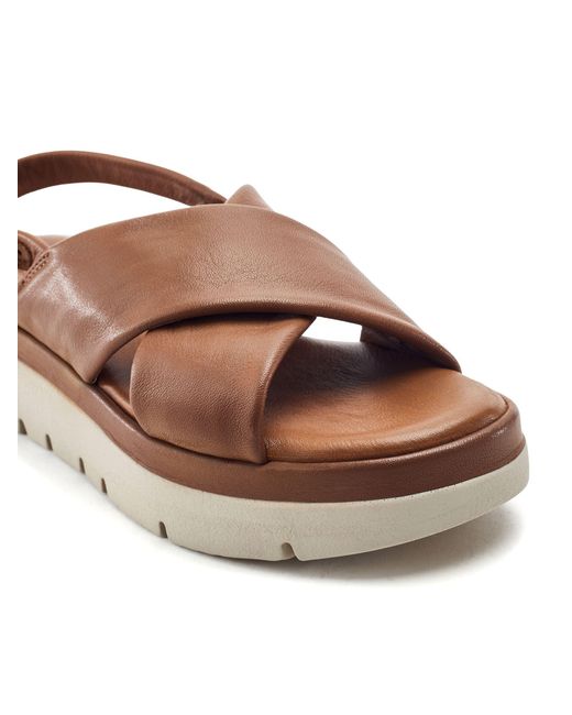 Moda In Pelle Brown Moda