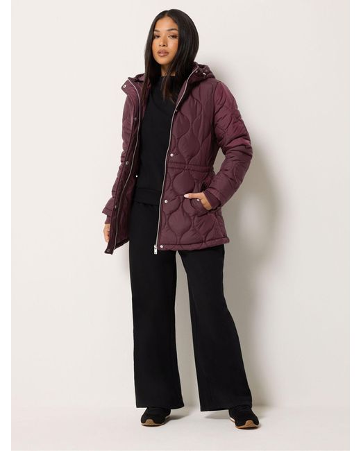 M Com Purple Petite Quilted Jacket