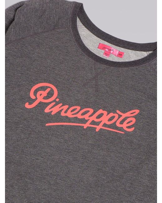 Pineapple Gray Sweater
