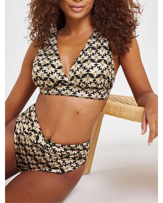 JD Williams Black Bikini Set