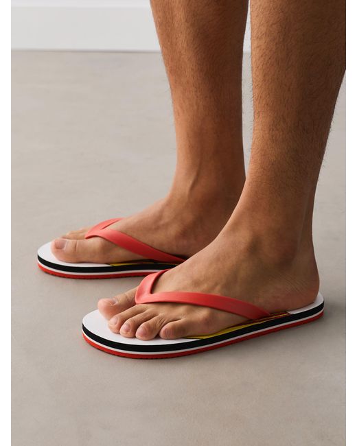 Next Multicolor Flip Flops for men