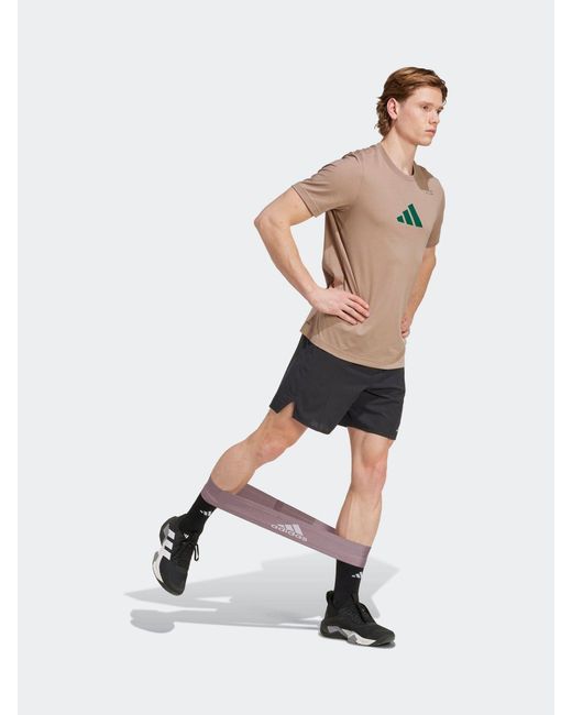 Adidas Natural Climacool Category Training Graphic T-Shirt for men