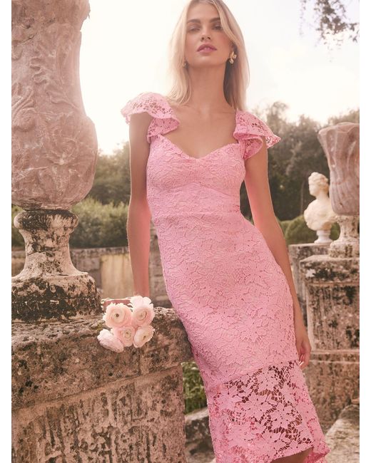 Lipsy Pink Petite Lace Flutter Sleeve Bodycon Midi Dress