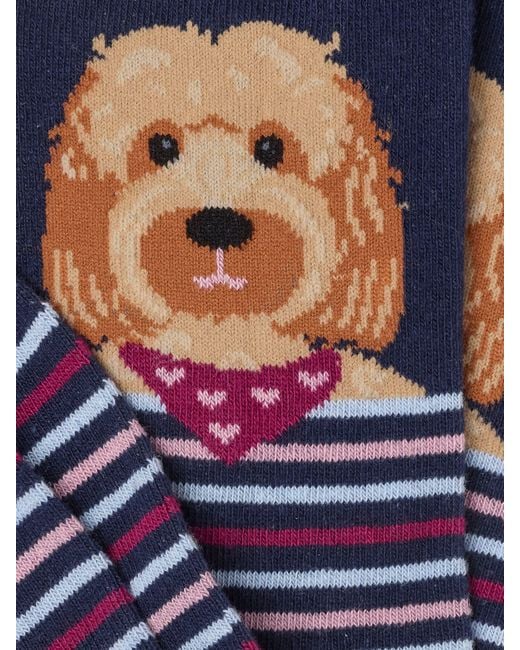 FatFace Blue Cockapoo Socks