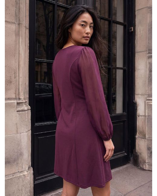 Roman Purple Petite Button Dress