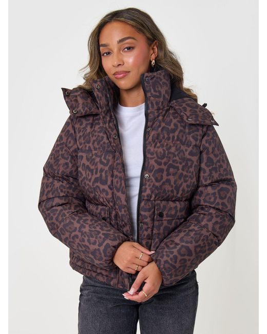 Threadbare Purple Cropped Hooded Puffer Coat