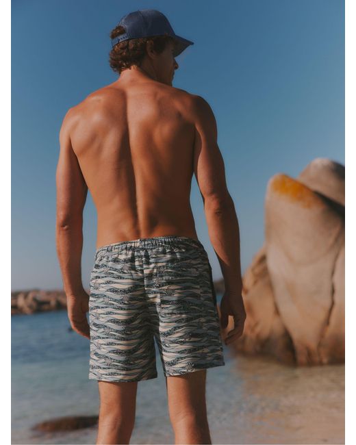 FatFace Green Fatface Turtle Stripe Swim Short for men