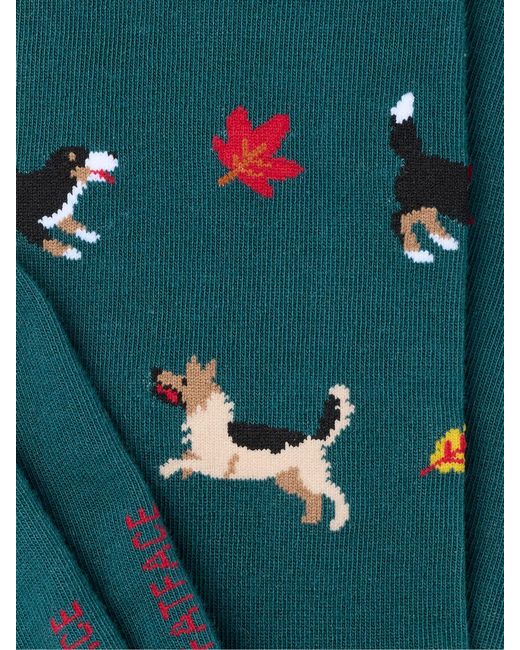 FatFace Green Fatface Dog Socks for men