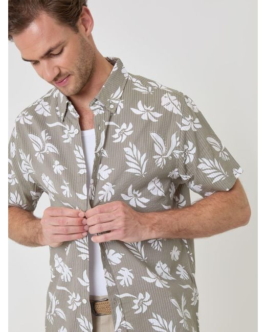 Threadbare Gray Button Down Collar Short Sleeve Shirt for men