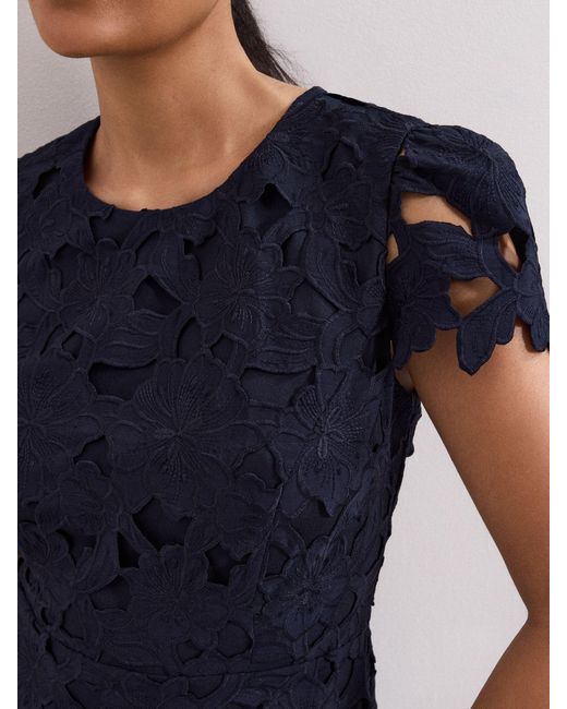 Phase Eight Petite Leilani Lace Dress in Blue | Lyst