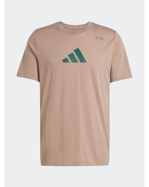 Adidas Natural Climacool Category Training Graphic T-Shirt for men