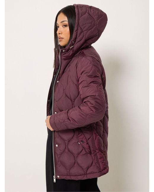 M Com Purple Petite Quilted Jacket