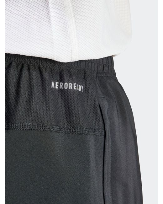 Adidas Blue Joggers for men