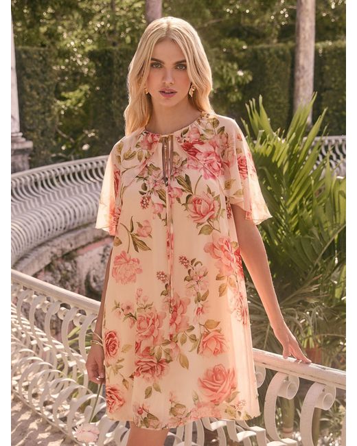 Lipsy Brown Print Flutter Sleeve Mini Shift Dress