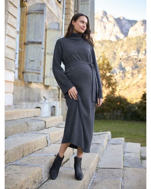 Seraphine Multicolor Maternity Knit Dress