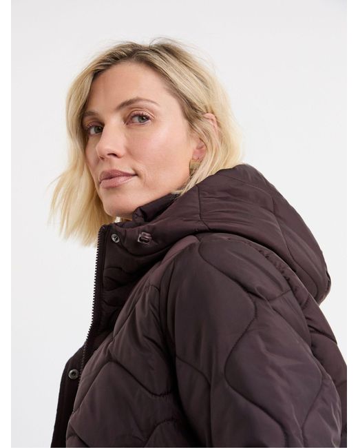 JD Williams Blue Short Quilted Jacket