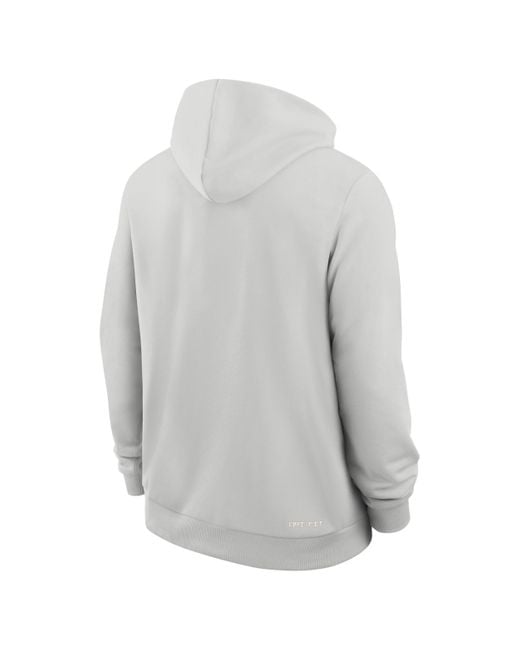 Nike Gray Michigan State Sideline Dri-Fit College Pullover Hoodie for men