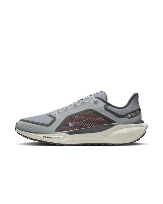 Nike Gray Pegasus 41 Gore-Tex Waterproof Road Running Shoes for men