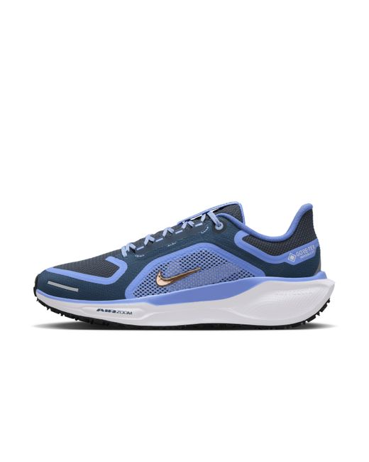 Chaussure De Running Sur Route Imperméable Pegasus 41 Gore-Tex Pour Femme Nike en coloris Blue