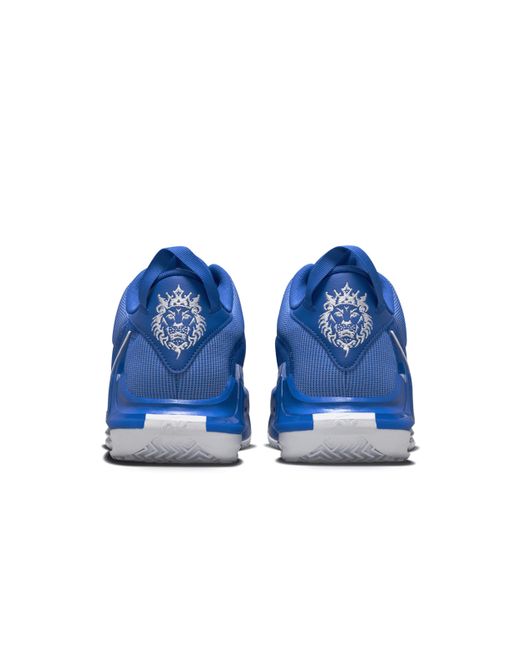 Men's nike lebron outlet witness iv basketball shoes