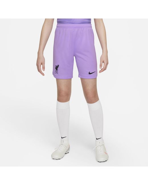 Nike Synthetic Liverpool F.c. 2022/23 Stadium Goalkeeper Older Kids ...