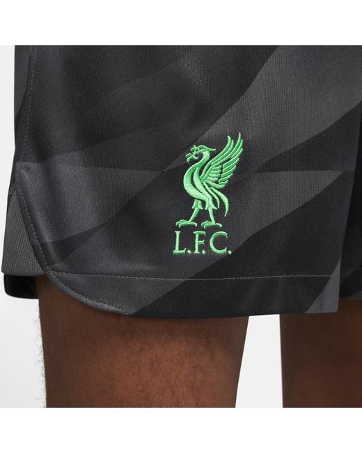 Nike Black Liverpool Fc 2023/24 Stadium Goalkeeper Dri-fit Soccer Shorts for men