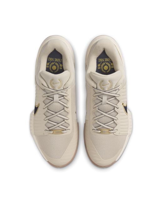 Nike Natural Gp Challenge Pro Premium Hard Court Tennis Shoes for men