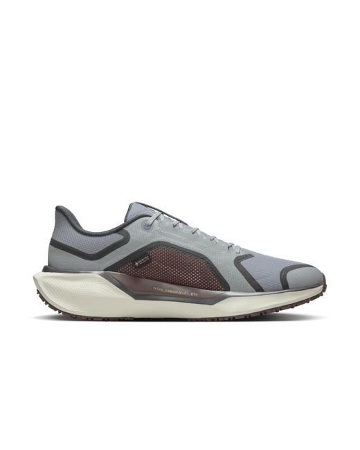 Nike Gray Pegasus 41 Gore-Tex Waterproof Road Running Shoes for men